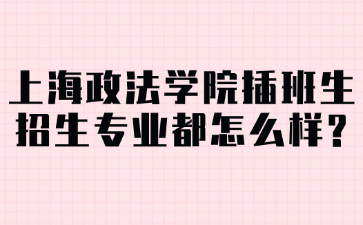 上海政法学院插班生招生专业都怎么样?